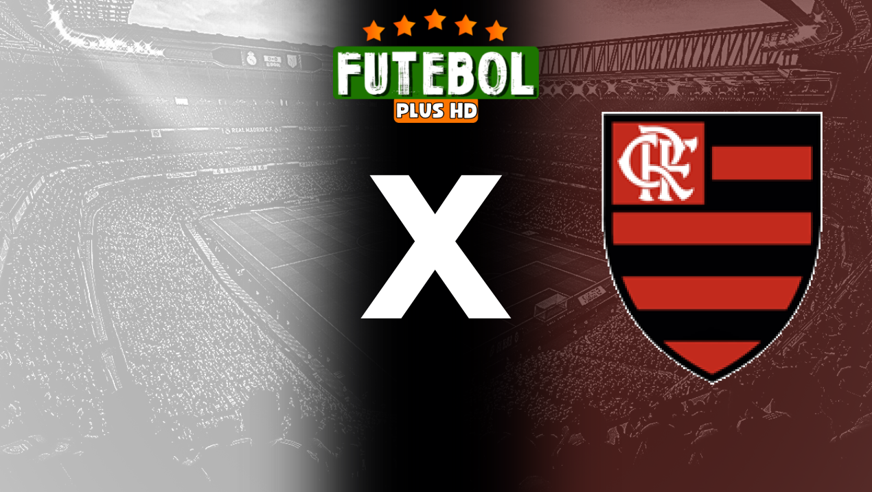 Assistir Avaí/Kindermann x Flamengo ao vivo online 17/08/2024 grátis