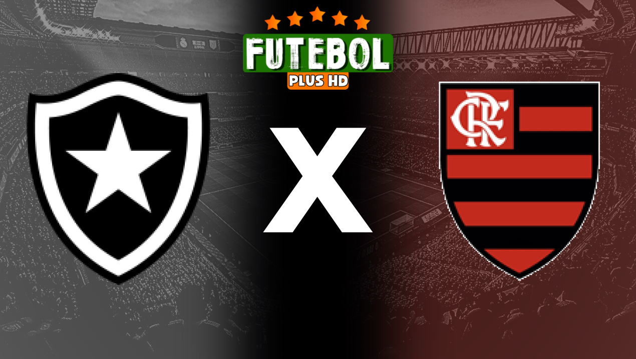 Assistir Botafogo x Flamengo ao vivo online 18/08/2024 grátis