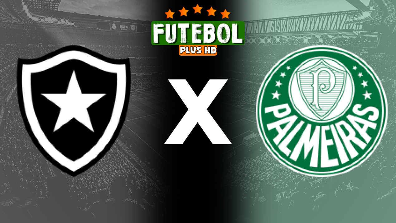 Assistir Botafogo x Palmeiras ao vivo HD 17/07/2024