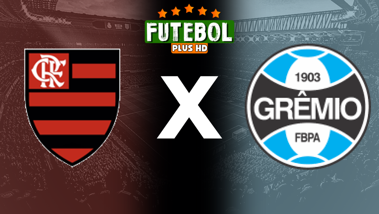 Assistir Flamengo x Grêmio ao vivo HD 13/06/2024