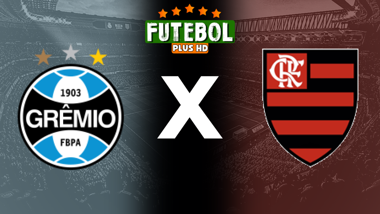 Assistir Grêmio x Flamengo ao vivo online 17/08/2024 grátis